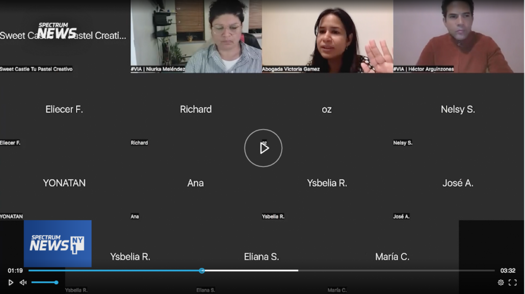 VIA Legal consultation Online